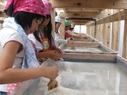 企業組合ソルトビーの写真2