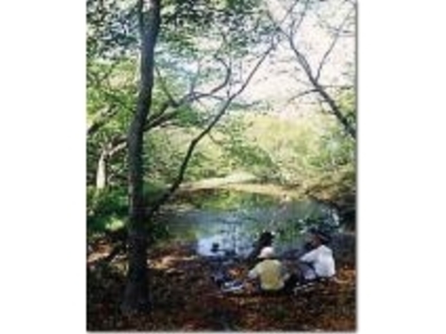 武周ヶ池の写真1