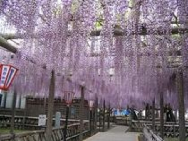 行興寺