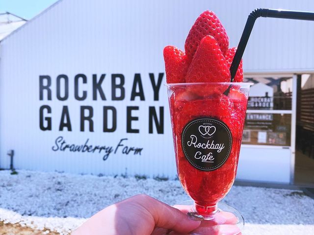 ロックベイガーデンストロベリーファーム