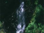 白竜の滝の写真1