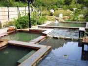 清水西里温泉浴場 やませみの湯の写真2