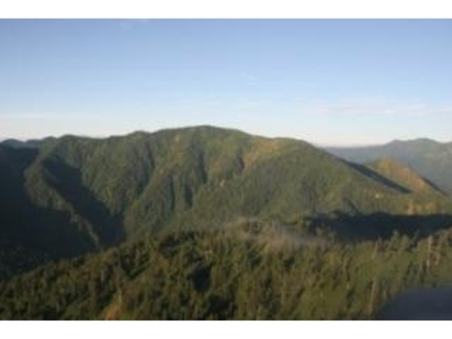 佐武流山の写真1