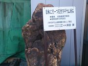 八甲温泉の写真3
