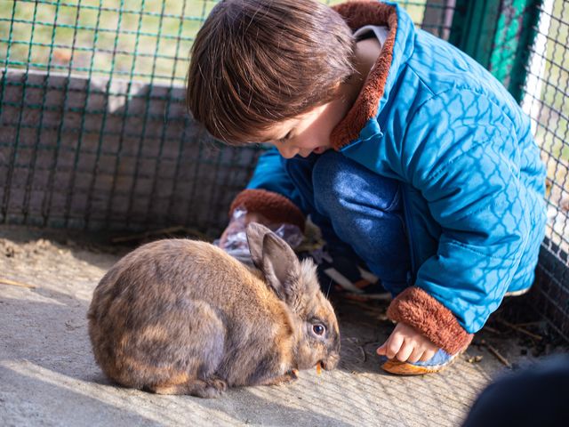 うさぎのふれあいイメージ_岩手サファリパーク