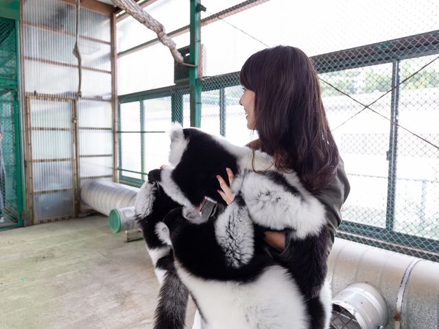 サルのふれあいイメージ_岩手サファリパーク
