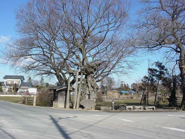 芭蕉句碑の写真1