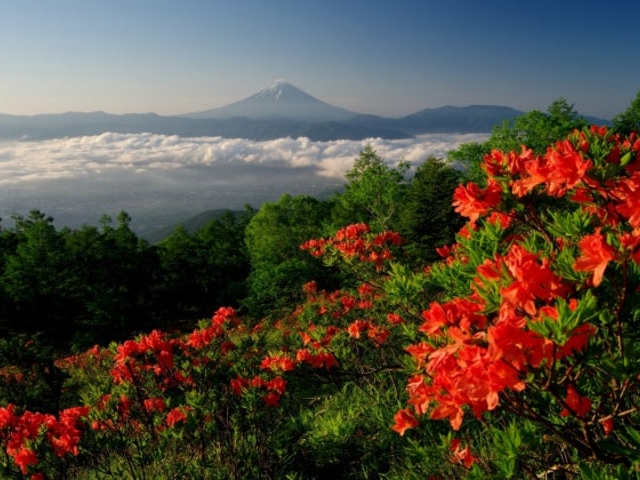 甘利山_甘利山
