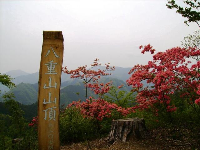 八重山五感の森遊歩道の写真1