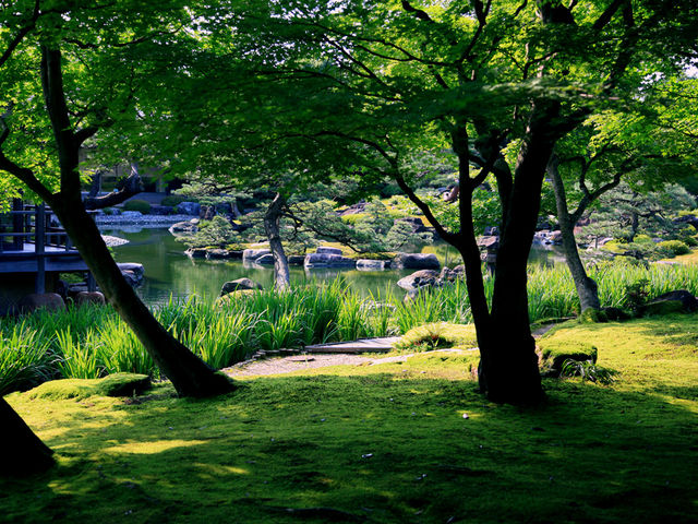 夏の牡丹園_日本庭園 由志園