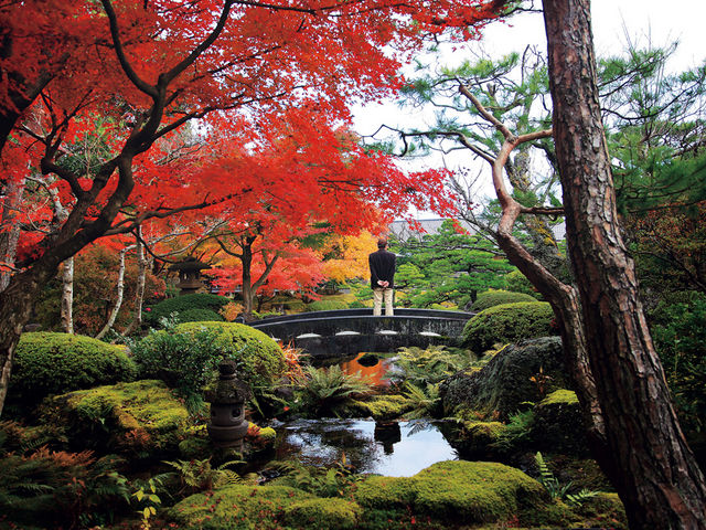 秋の園内_日本庭園 由志園