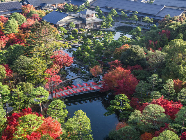 秋の庭園_日本庭園 由志園