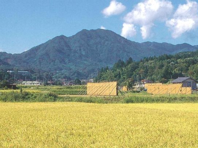 鯛ノ巣山の写真1