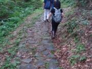 六十里越街道の写真1