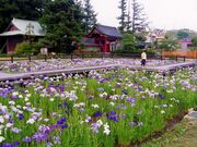 大鏑矢ふれあい公園の写真1