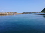 美浜町漁業協同組合 ひるが海上釣堀の写真1