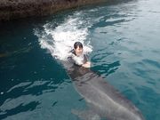 室戸ドルフィンセンターの写真4