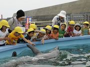 室戸ドルフィンセンターの写真3