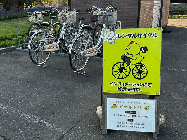ピーチャリ看板_ピーチャリ