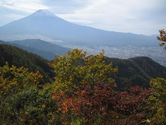 倉見山の写真1