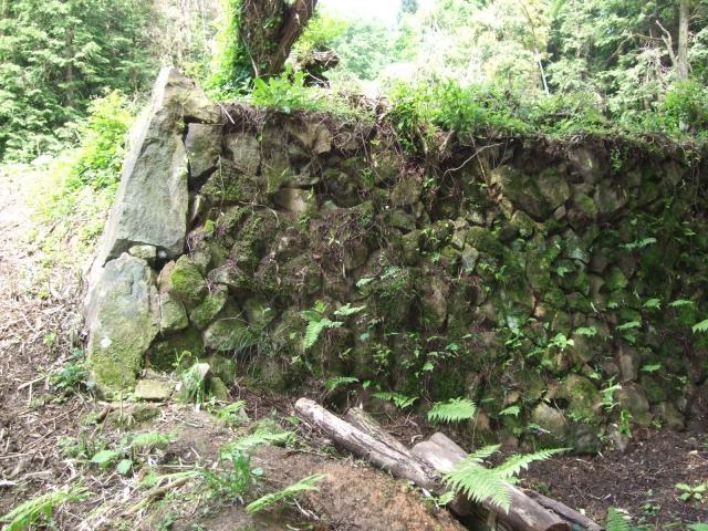 比叡尾山城跡の写真1