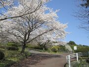 鴻ノ巣公園の写真2