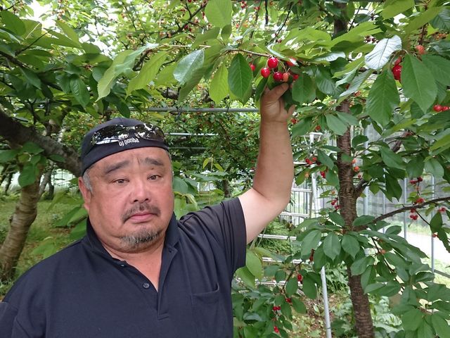 香山農園の写真1