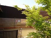 川の駅船小屋 恋ぼたるの写真3