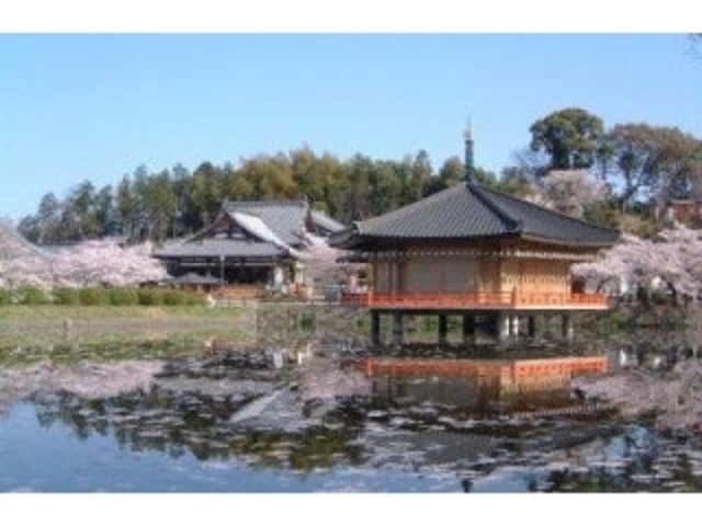 大和長寿道の写真1