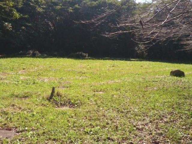 大高野官衙遺跡_大高野官衙遺跡
