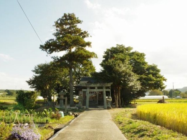 豊榮神社の写真1