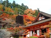 多武峰街道の写真1