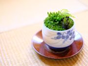 レスパール藤ヶ鳴の写真2