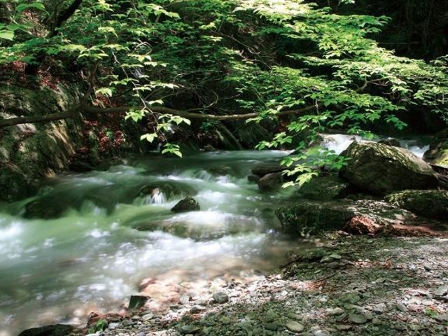 奥栗山渓谷_奥栗山渓谷