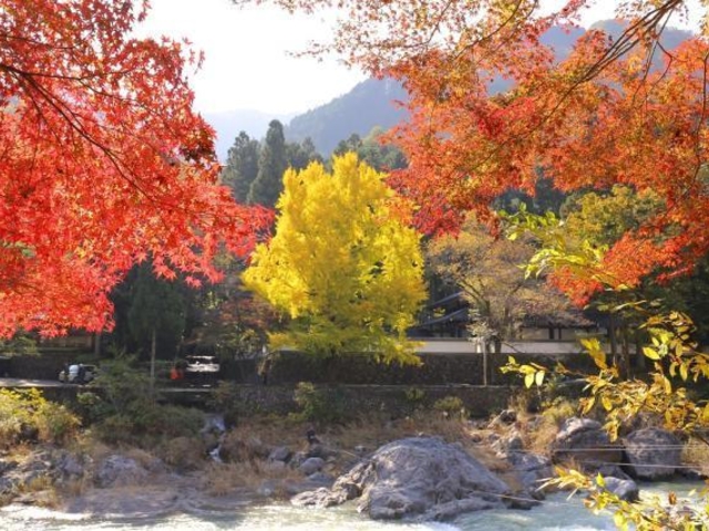 御岳渓谷の紅葉