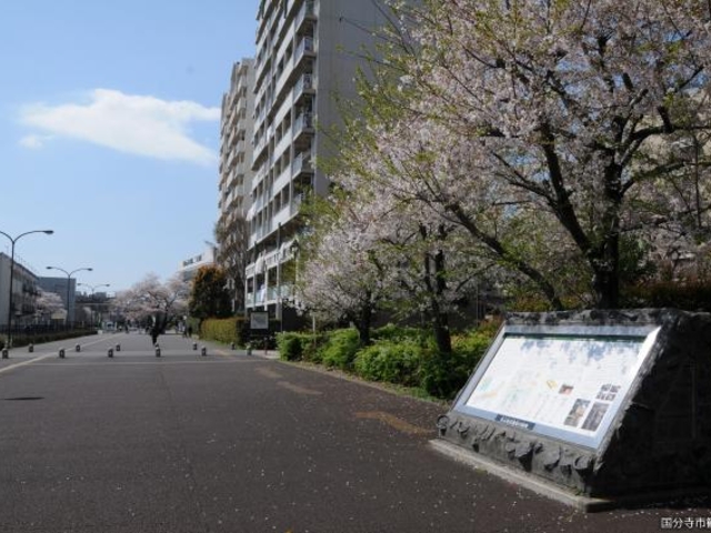 東山道武蔵路跡の写真1