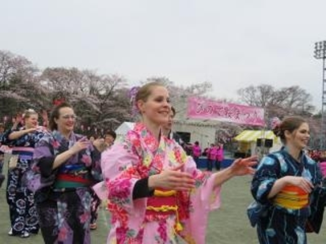 塩田堤の桜の写真1