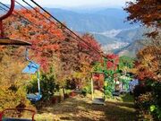 御岳山の紅葉の写真2