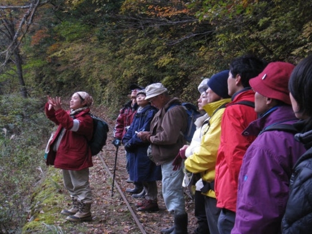 芦生の森ネイチャーガイドトレッキングツアー