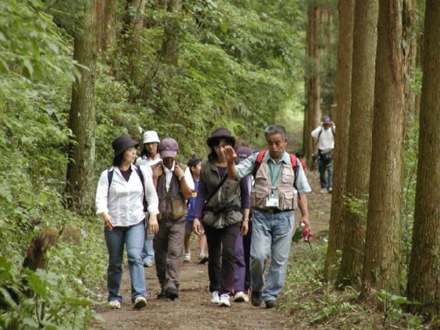 森林セラピー体験の写真1
