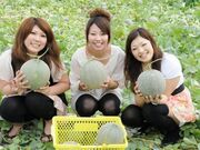 深作農園(メロン狩り)の写真2