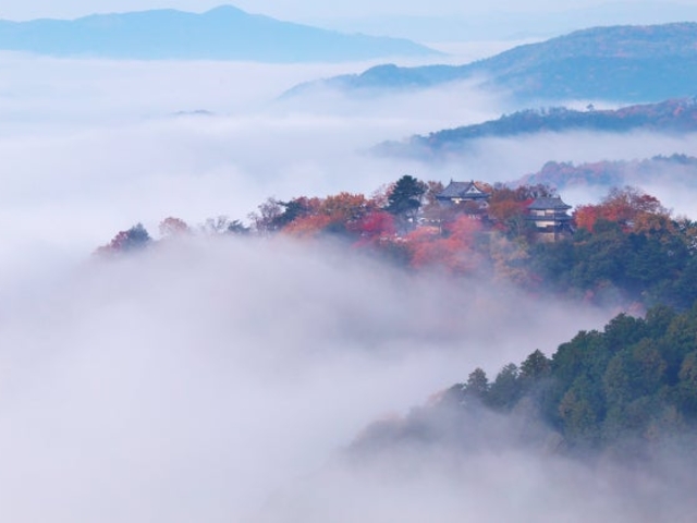 雲海展望台