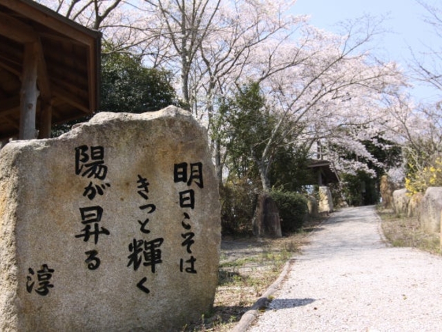 川柳公園・川柳の小径の写真1