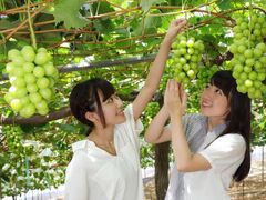 石原果樹園の写真1