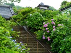 長法寺の写真1