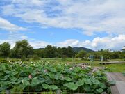 備中高松城址の写真1