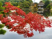 衆楽園(旧津山藩別邸庭園)の写真3