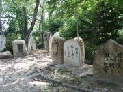 川柳公園・川柳の小径の写真2