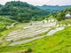 上山の棚田の写真2