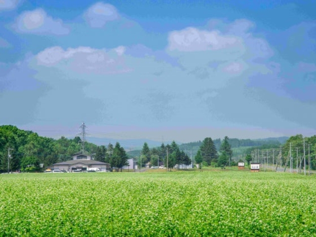 そばロードの写真1